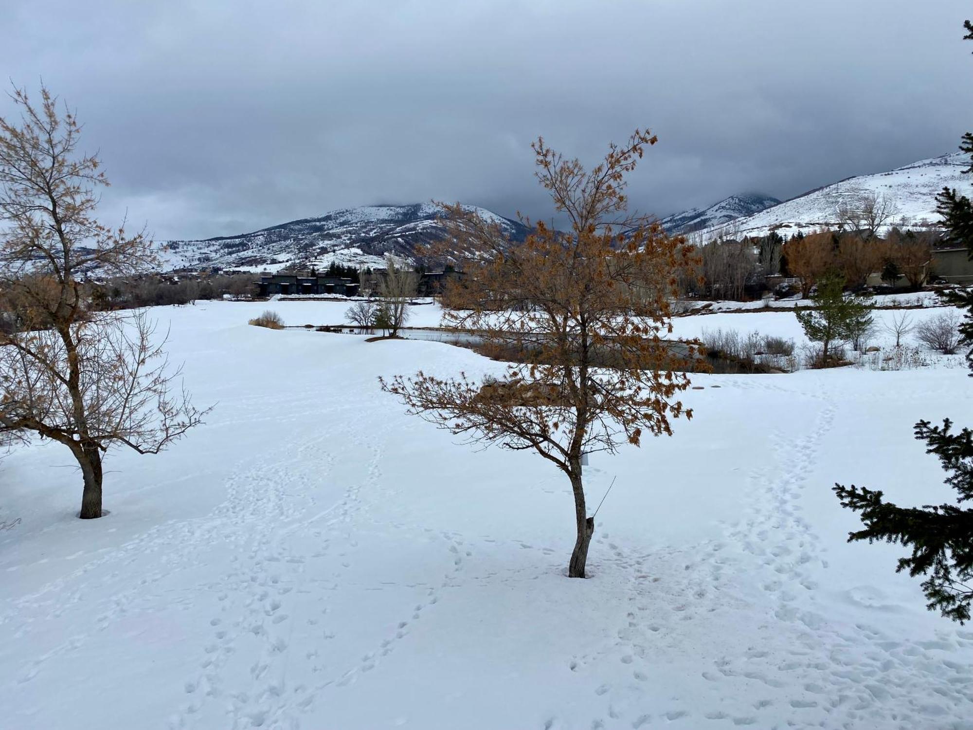 Wolf Creek Lodge Condo In Eden, Ut - Relaxing Mountain Retreat المظهر الخارجي الصورة