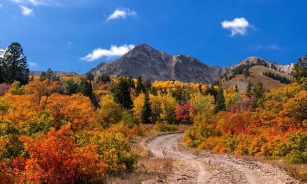 Wolf Creek Lodge Condo In Eden, Ut - Relaxing Mountain Retreat المظهر الخارجي الصورة