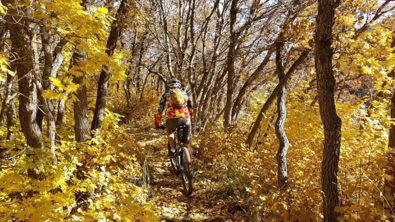 Wolf Creek Lodge Condo In Eden, Ut - Relaxing Mountain Retreat المظهر الخارجي الصورة